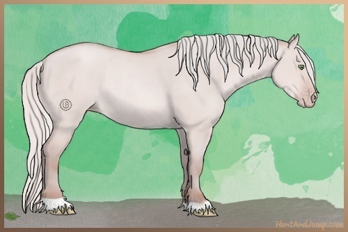 Horse Color:Silver Sable Champagne Dun Rabicano
