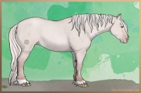 Horse Color:Silver Sable Champagne Dun Rabicano