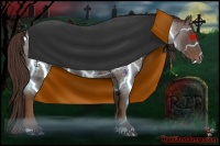 Horse Color:Liver Red Roan 