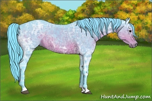 Horse Color:Watercolor Brown Ice Rabicano 