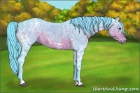 Horse Color:Watercolor Brown Ice Rabicano 