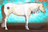 Horse Color:Bay Roan Pearl Dun Tobiano 