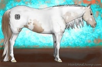 Horse Color:White Spotted Black Pearl Tobiano 