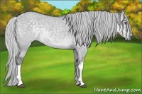 Horse Color:Silver Grullo Chinchilla 