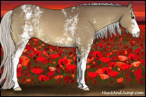 Horse Color:White Spotted Silver Bay