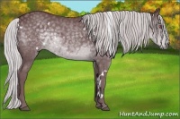 Horse Color:White Spotted Chocolate Silver Black Chinchilla 
