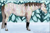 Horse Color:Liver Red Ice Roan Splash 