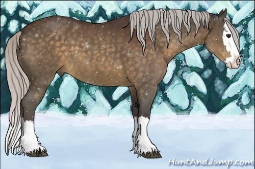 Horse Color:Silver Brown Sabino Splash