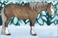 Horse Color:Silver Brown Sabino Splash 