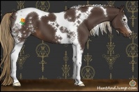 Horse Color:White Spotted Liver Chestnut Tobiano 