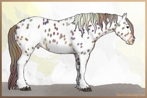 Horse Color:Nacre Liver Chestnut Tobiano Near Leopard Rabicano