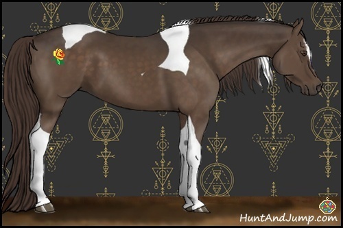 Horse Color:Liver Chestnut Sabino Tobiano 
