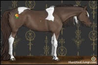 Horse Color:Liver Chestnut Sabino Tobiano