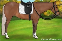 Horse Color:Silver Bay 