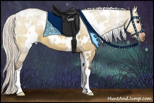 Horse Color:White Spotted Silver Bay Dun
