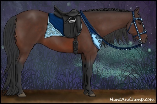 Horse Color:Brown Sabino
