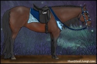 Horse Color:Brown Sabino