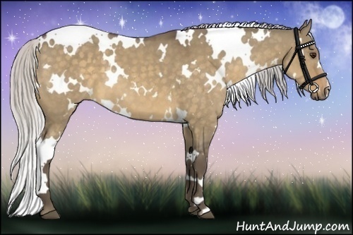Horse Color:White Spotted Silver Buckskin Dun 