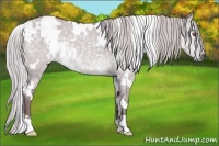 Horse Color:White Spotted Chocolate Silver Grullo Chinchilla