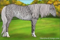 Horse Color:Chocolate Silver Smoky Grullo Chinchilla Ice 