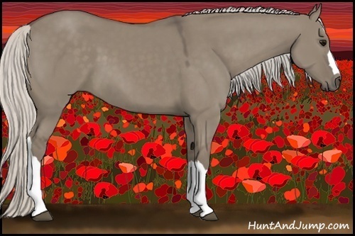 Horse Color:Silver Smoky Grullo 