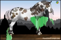 Horse Color:Painted White Spotted Liver Chestnut Splash 