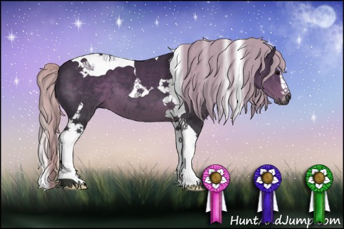 Horse Color:Gray Silver Black Sabino Tobiano