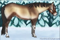 Horse Color:Liver Red Onyx 