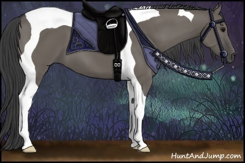 Horse Color:Smoky Grullo Tobiano