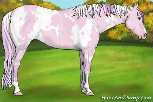 Horse Color:Watercolor White Spotted Perlino Dun 