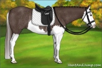 Horse Color:Liver Chestnut Splash Rabicano 