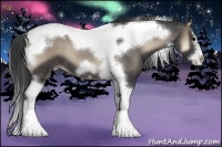 Horse Color:Blue Onyx Roan Splash Tobiano Frame Varnish 