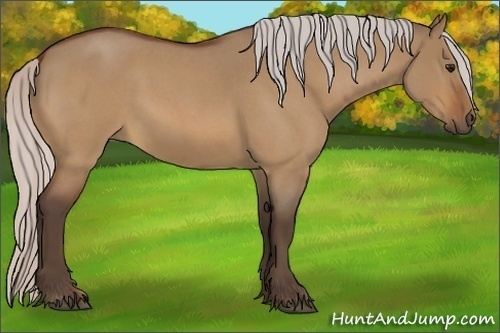 Horse Color:Silver Bay Roan Dun 