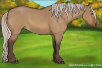 Horse Color:Silver Bay Roan Dun