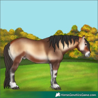 Horse Color:Bay Onyx 