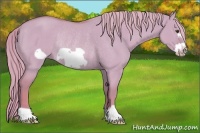 Horse Color:Watercolor Red Dun Frame Rabicano