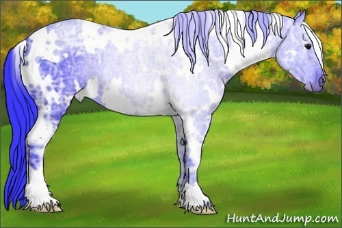 Horse Color:Watercolor White Spotted Black Ice 