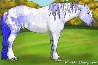 Horse Color:Watercolor White Spotted Black Ice