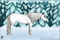 Horse Color:Liver Chestnut Sabino Splash Frame Appaloosa