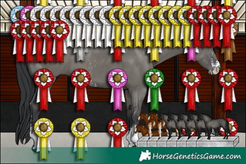 Horse Color:Grullo Sabino