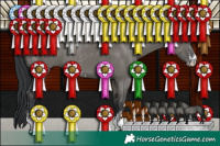 Horse Color:Grullo Sabino 