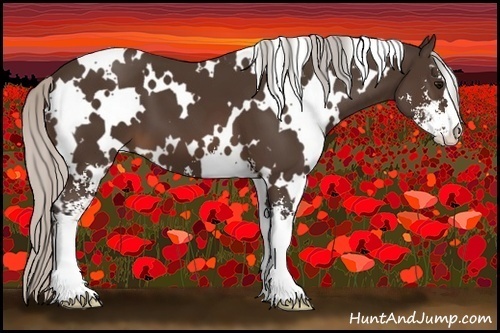 Horse Color:White Spotted Silver Brown Sabino 