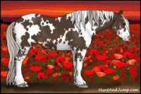 Horse Color:White Spotted Silver Brown Sabino 