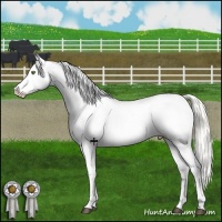 Horse Color:Liver Red Dun Mushroom Snowcap 