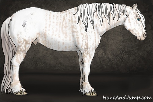 Horse Color:Chocolate Palomino Pearl Appaloosa  and White Spotted Brown Tobiano Appaloosa 
