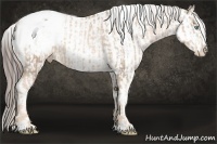 Horse Color:Chocolate Palomino Pearl Snowflake Varnish and White Spotted Brown Tobiano Snowflake Varnish 