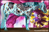 Horse Color:Gray Thunderstruck Silver Smoky Black Tobiano Appaloosa Rabicano