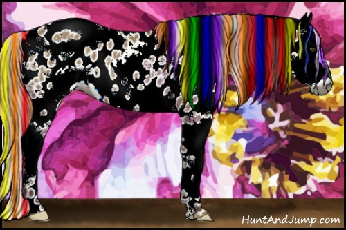 Horse Color:Gray Painted White Spotted Chocolate Palomino Dun Appaloosa Rabicano 