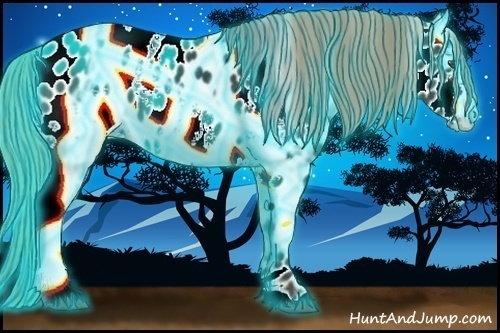 Horse Color:Thunderstruck White Spotted Liver Chestnut Appaloosa 