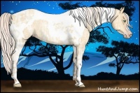 Horse Color:Silver Amber Champagne Ice Dun Tobiano Rabicano